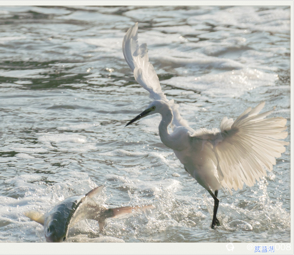 DSC09135_副本.jpg