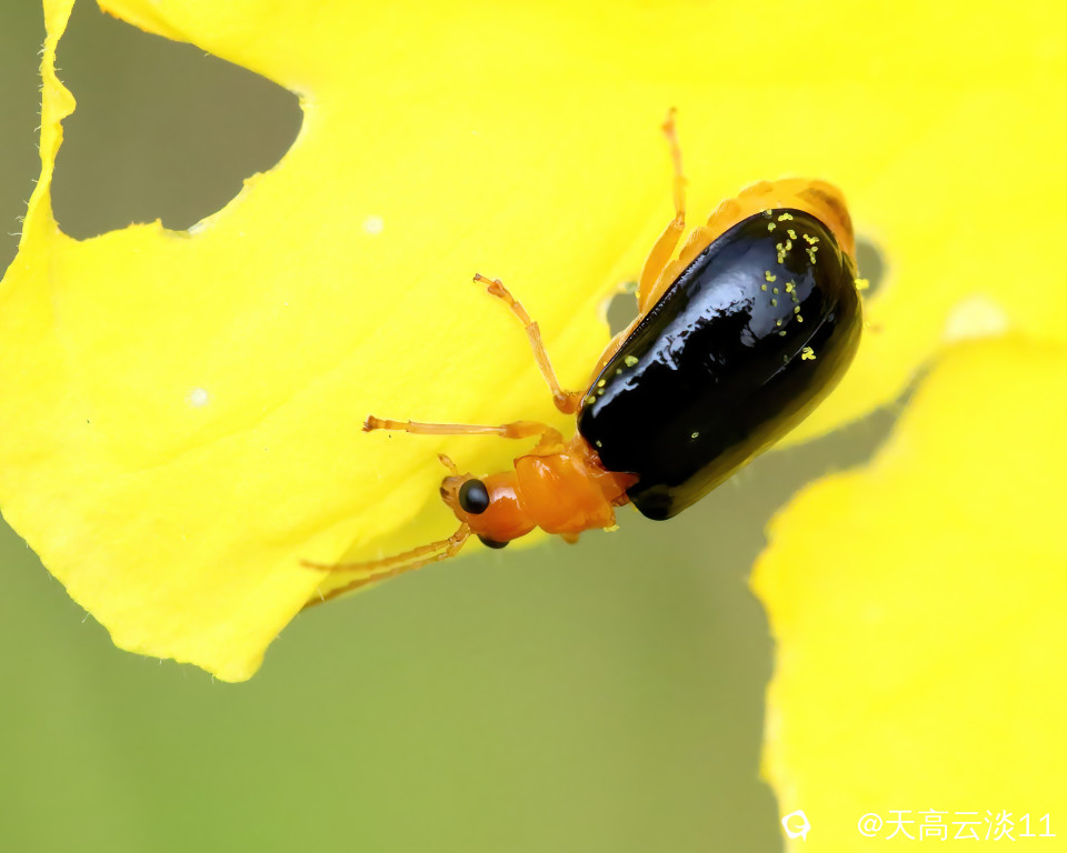 IMG_2621_副本-DeNoiseAI-denoise.jpg