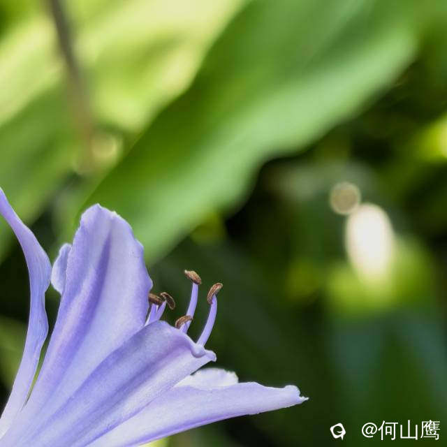 85ff18d2-f1ee-a371-40cf-04a6229e545c.jpg