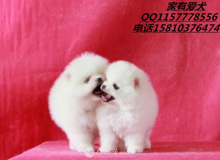 ��������Ǯ   �����������ض���  ������Ƭ  ����