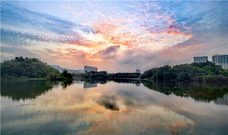 丙午夏末晓霞美：霓凤飘碧宇，玉鳞落澄湖