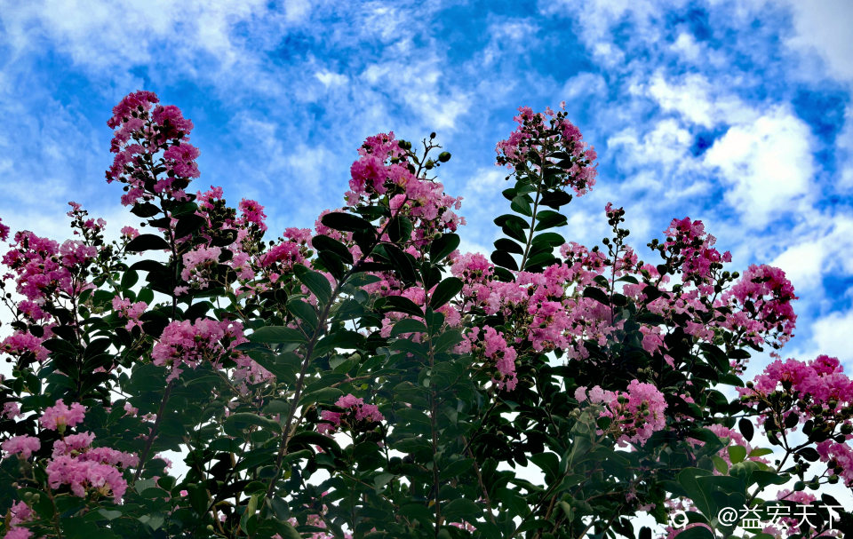 IMG_20260803_165708.jpg
