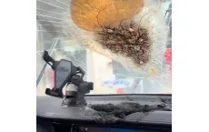 这些东西放车里，会爆炸