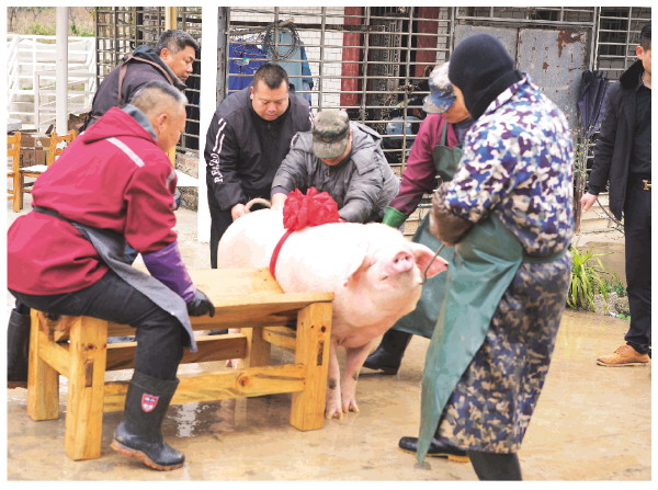 【新春走基层】&ldquo;合心桃花源&rdquo;里年味浓