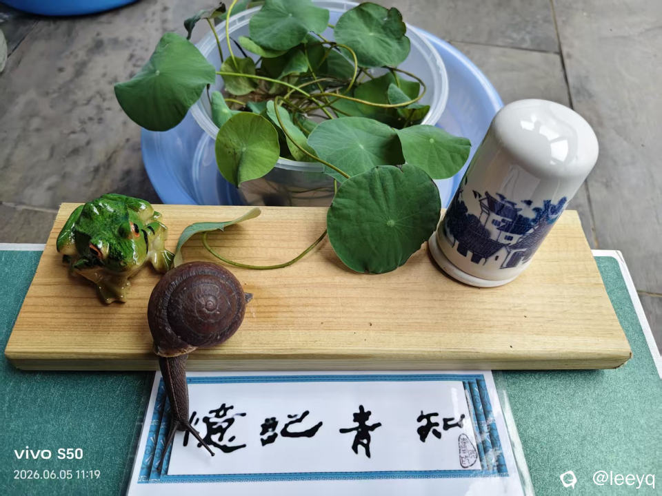 微信图片_20260605123429_97_56.jpg