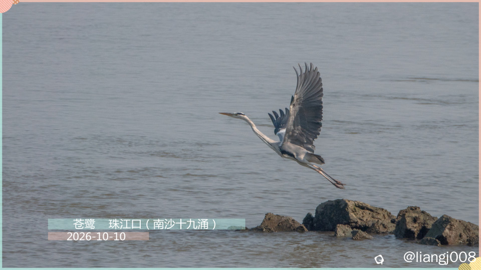 DSC01833_副本.jpg