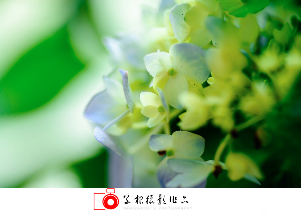 _DSC7789 拷贝_副本.jpg