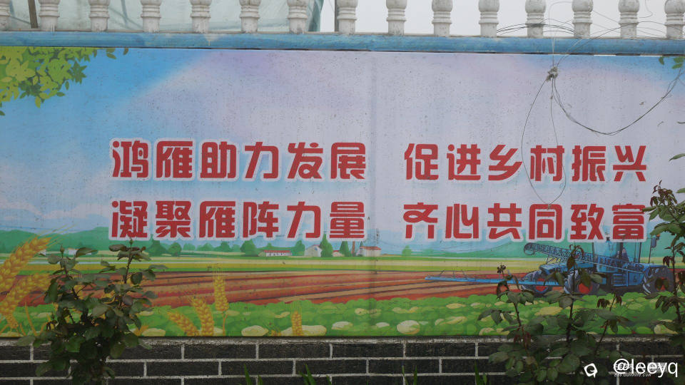 P1150588.JPG