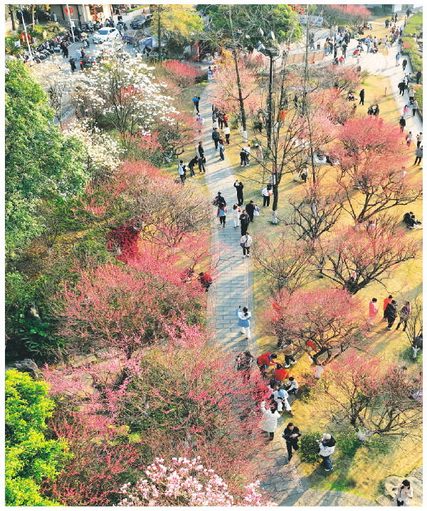 桂林市区各公园举办丰富多彩的花事活动  市民和游客纷至沓来乐享春光