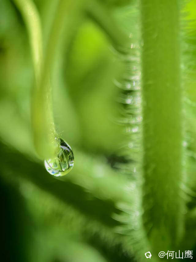 6b5cc966-a642-3334-9c87-1af71018574b.jpg