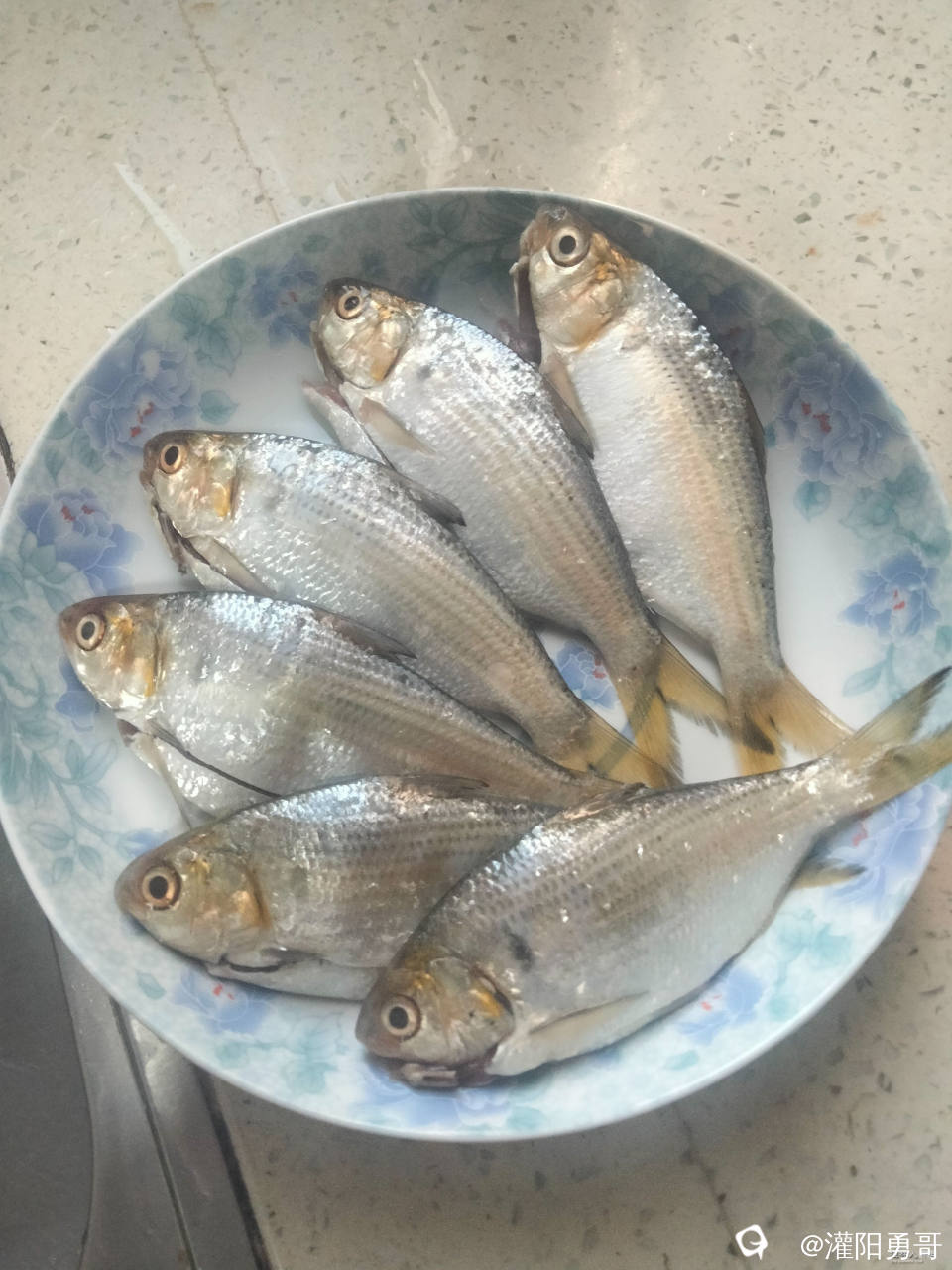 微信图片_20241208203459.jpg