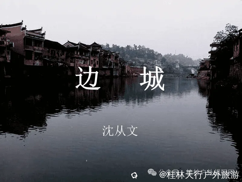 640.webp (9).png
