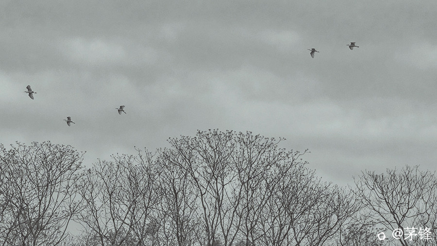 3-DSCF4580-1.jpg