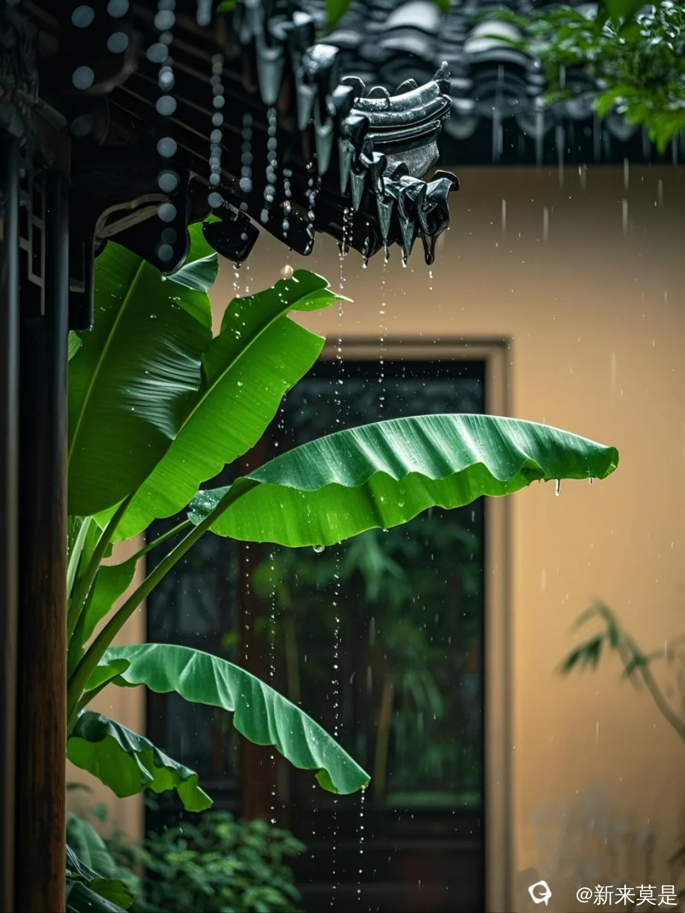 9aea9e35aa7fe4d3be52285066d718f1.png