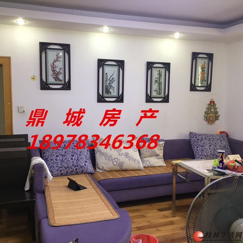  ����꡾���С����3��2��2�� 120�O ��װ�� ϡȱ���� �Լ۱ȸ�