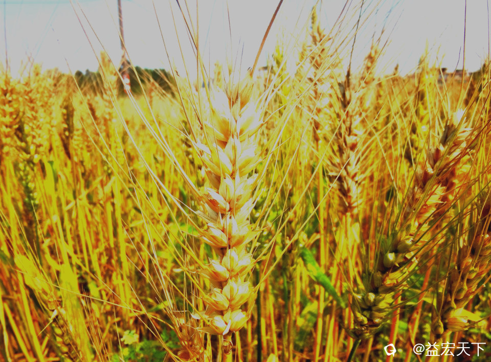 IMG_20240409_151721_edit_409344860991704.jpg