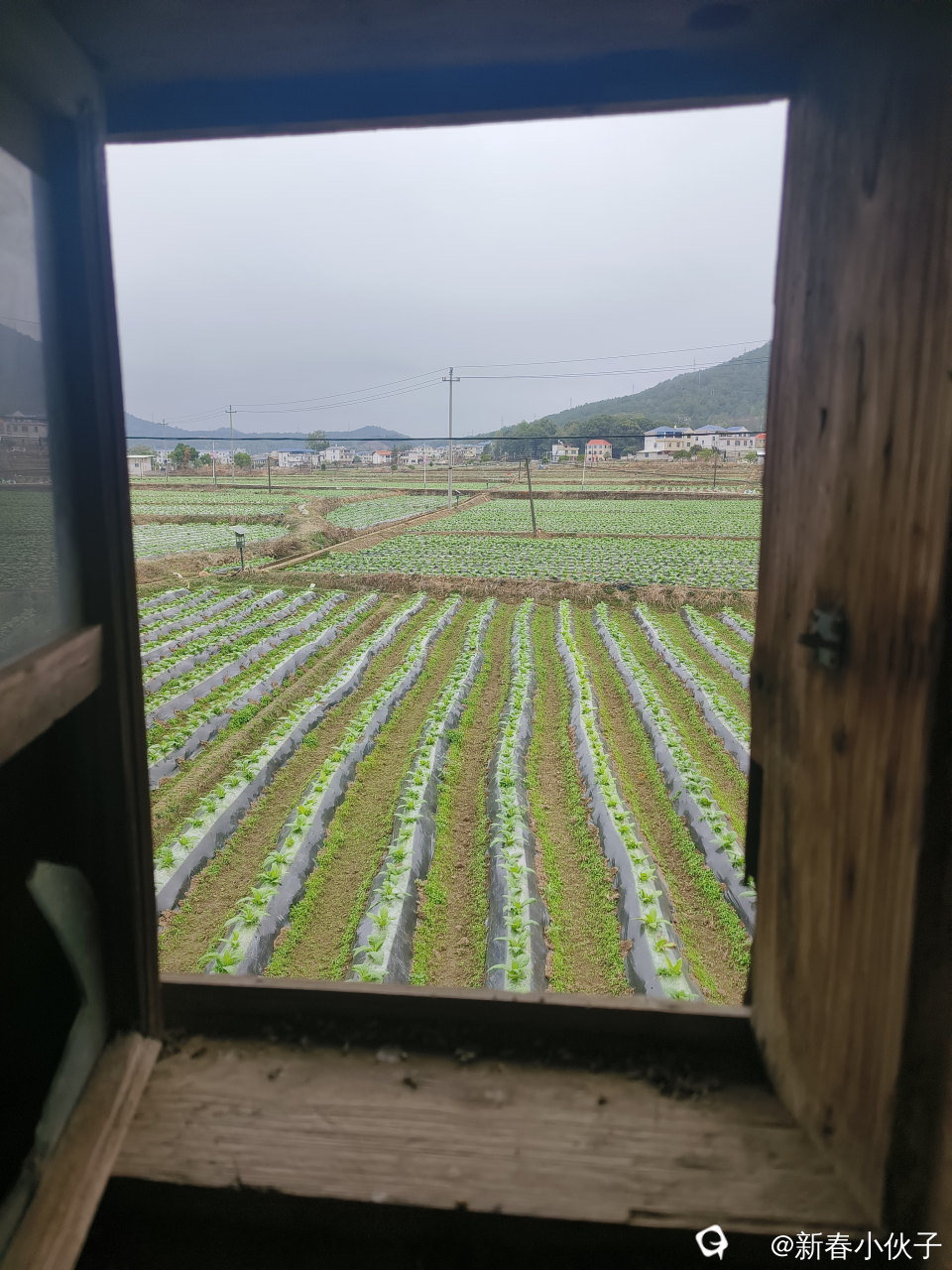 二楼窗户眺望的世界