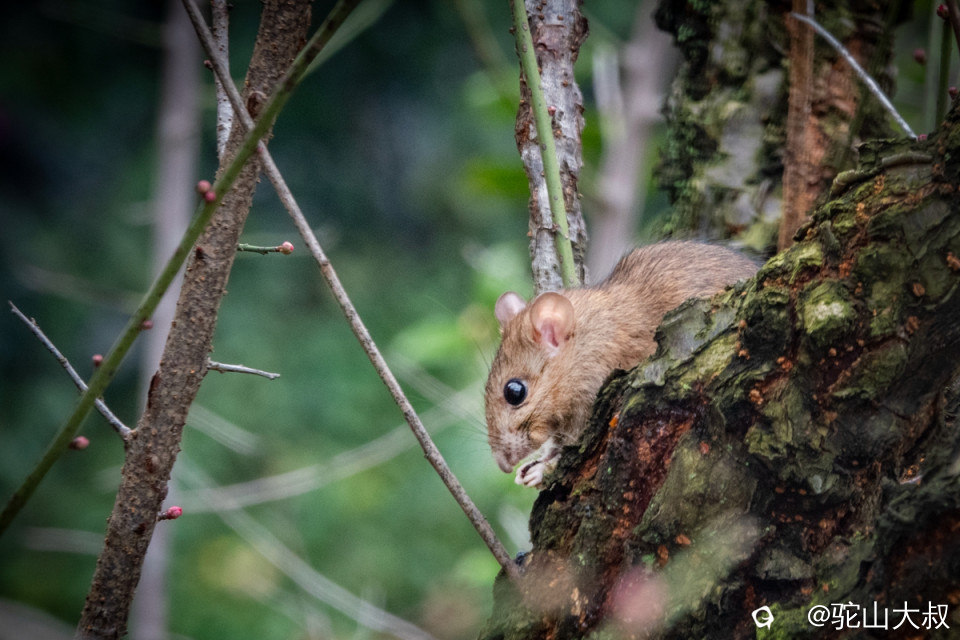 DSC04761-0 - 副本.jpg