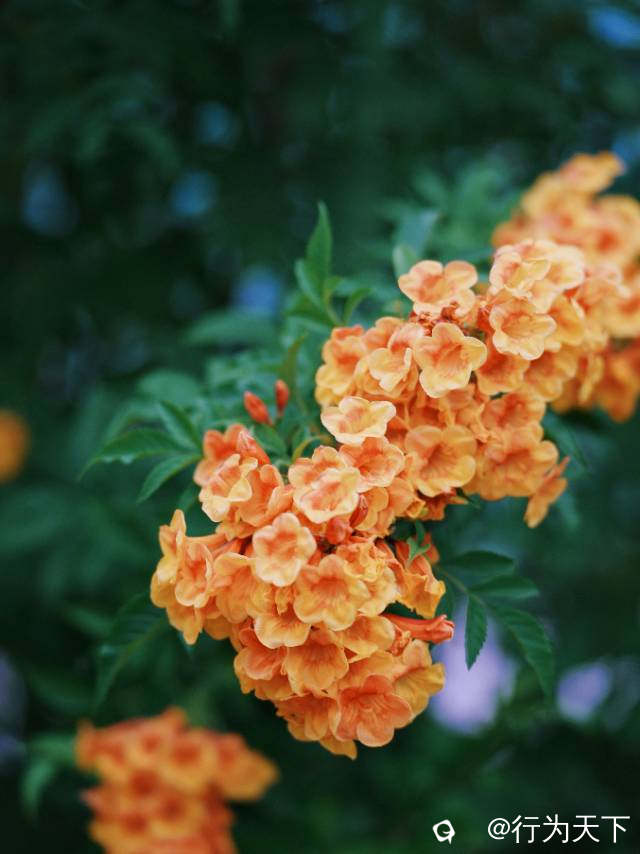 00c4d86d-d926-c360-b34f-dd625b41ed08.jpg