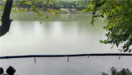 两江四湖，暴雨天气呈现&ldquo;八卦&rdquo;之水