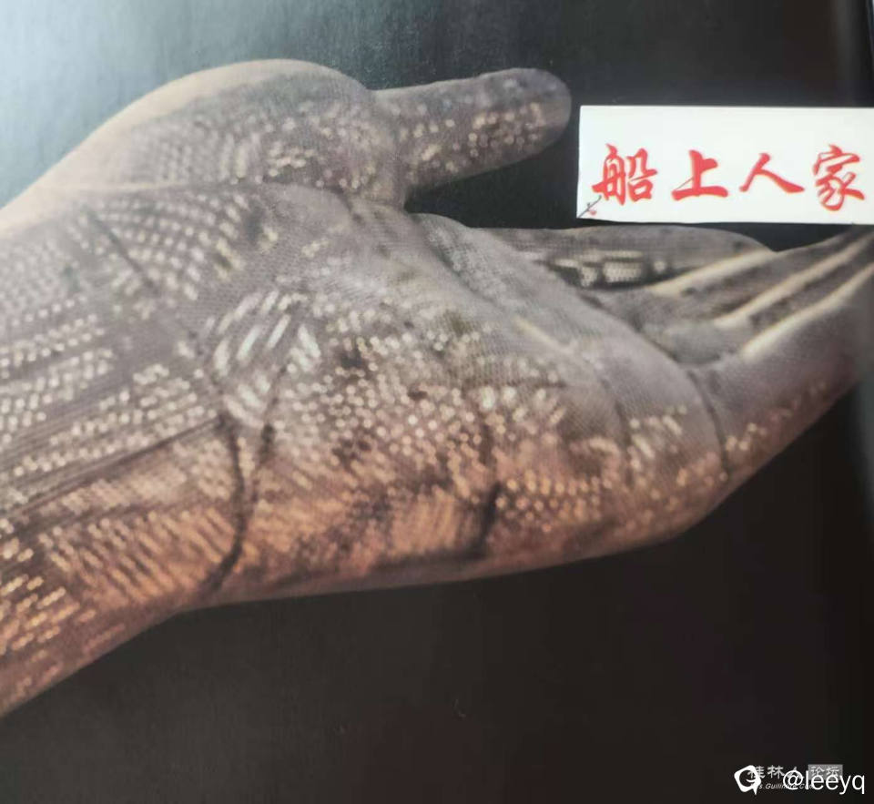 微信图片_20260124143959_368_429.jpg