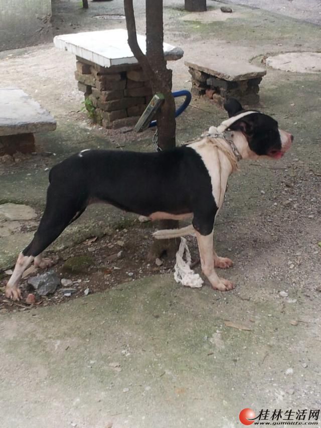 1ĳĸأҲ֪òãֻǮò