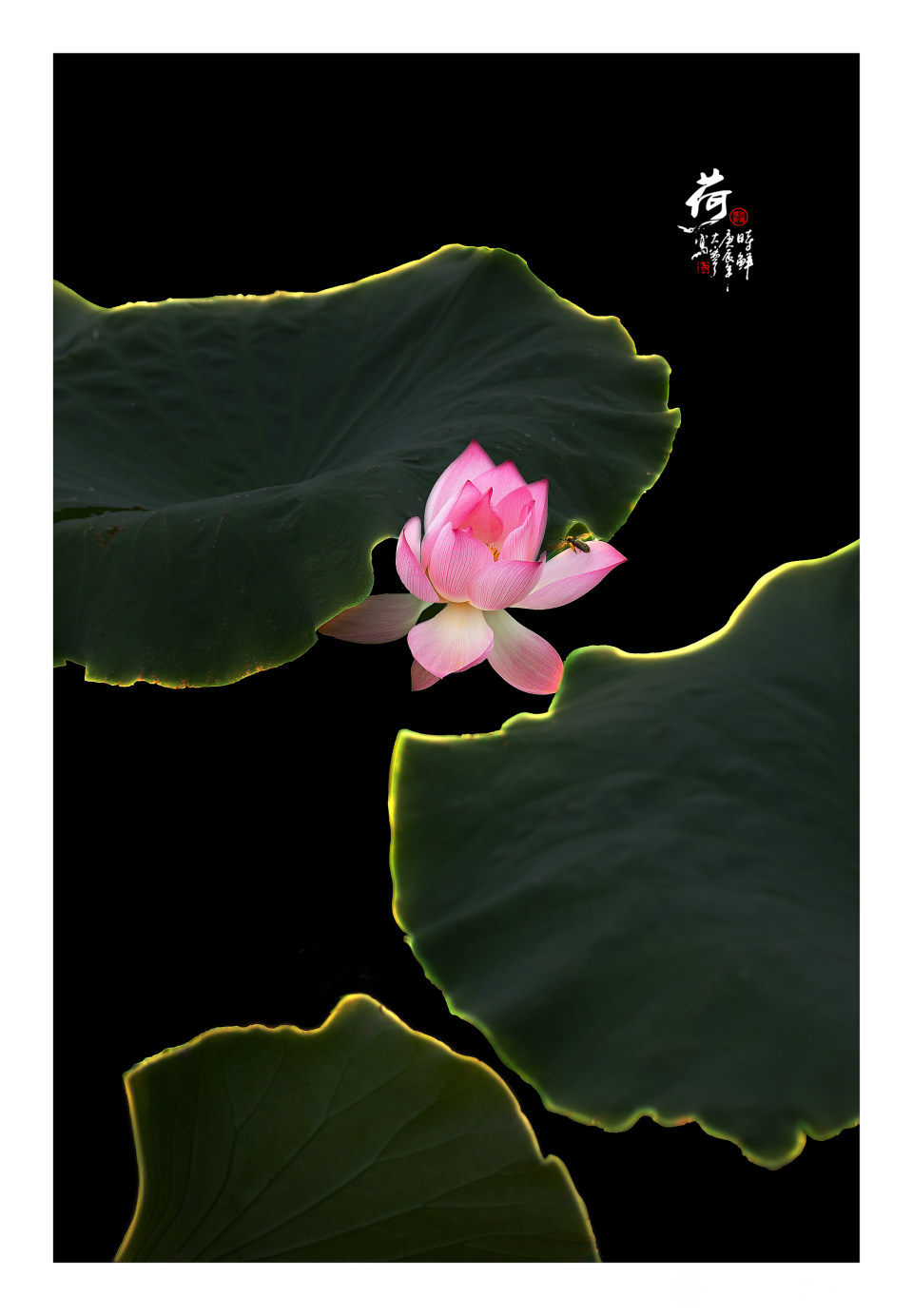 1R8A5144-恢复的-3000.jpg
