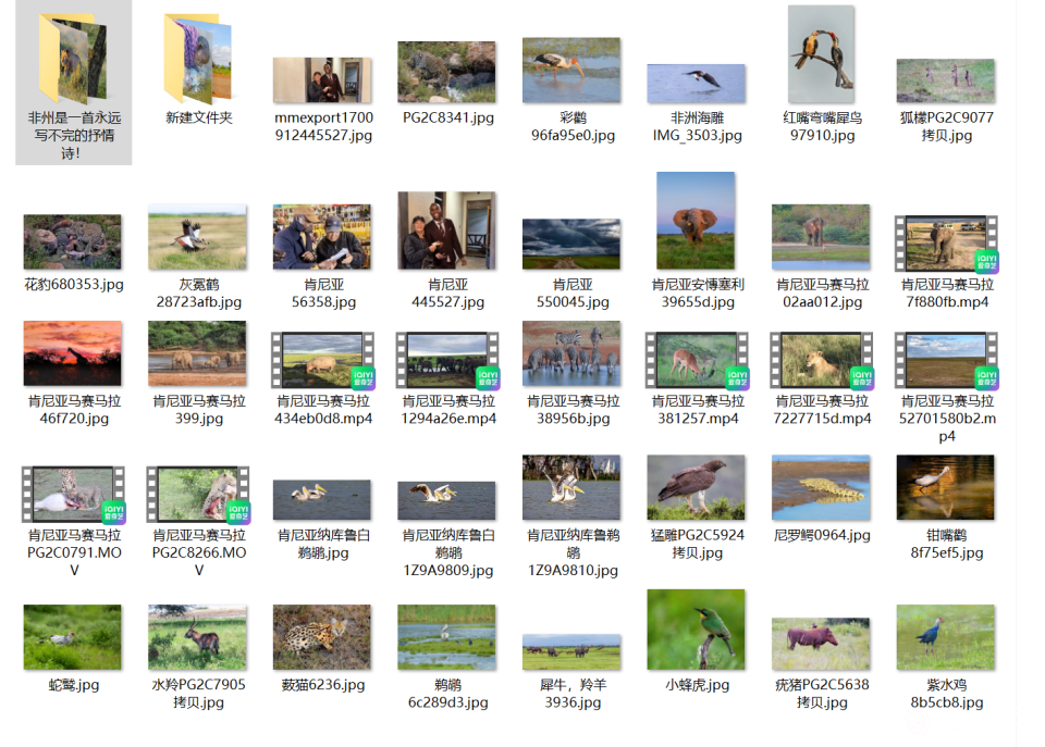 e93a2f77d4e0784806c8c2ac813f27d1.png