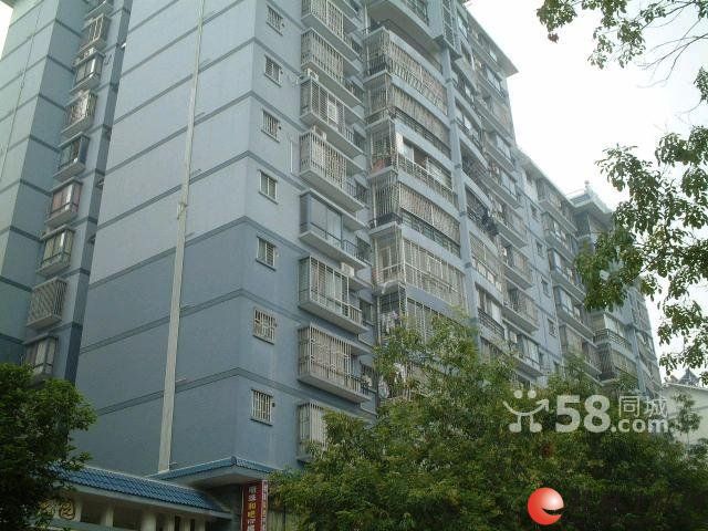 3��꡾���黨԰����װ2�� �ҵ�Ҿ���ȫ 2300Ԫ