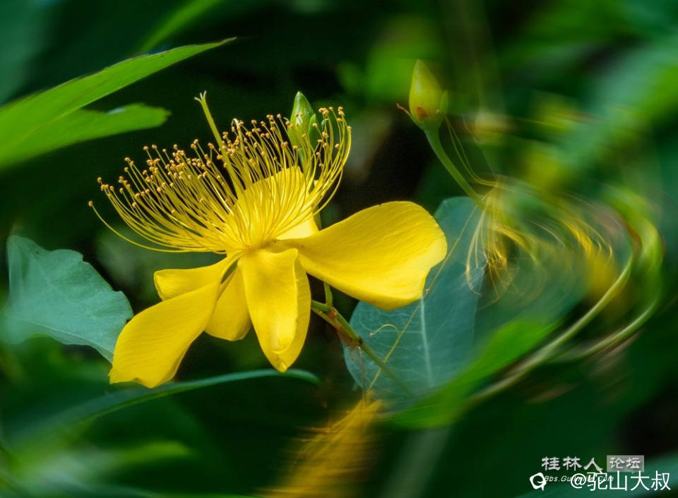 DSC08171-0 - 副本.jpg