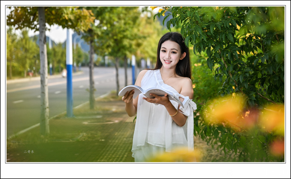 黄槐决明 (2).jpg