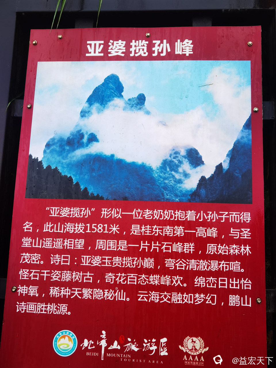 IMG_20240526_102901.jpg