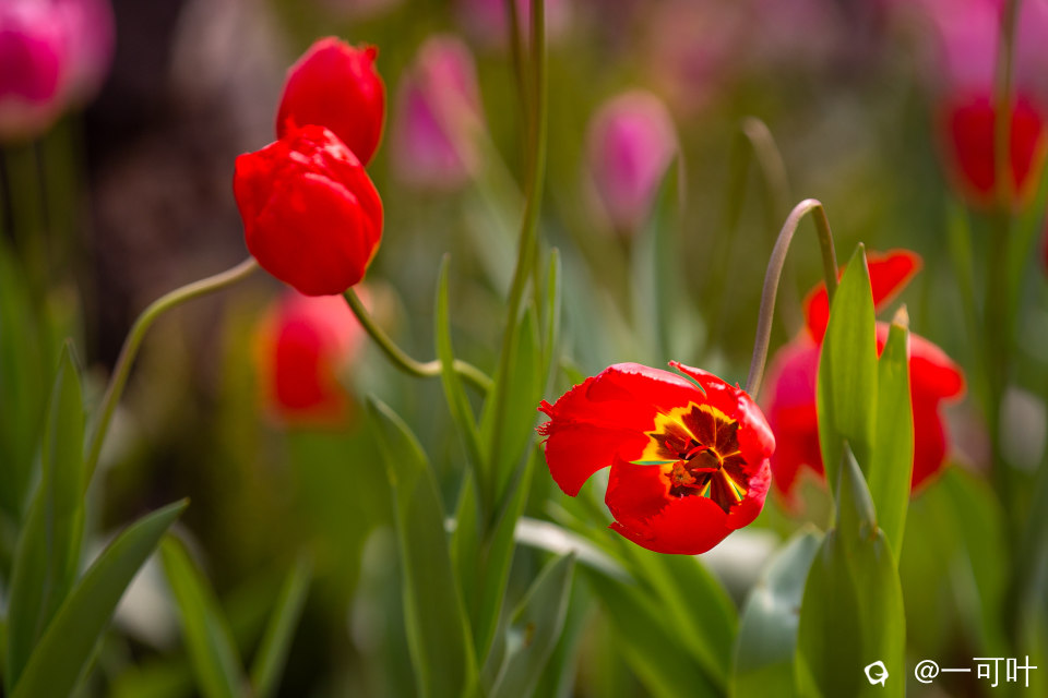 a9IMG_6346.jpg