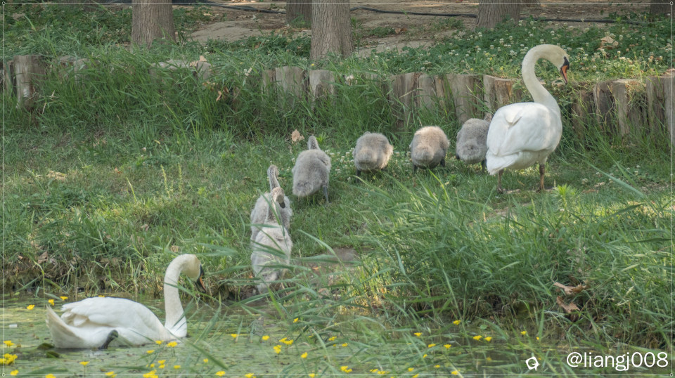 DSC00972_副本_副本.jpg