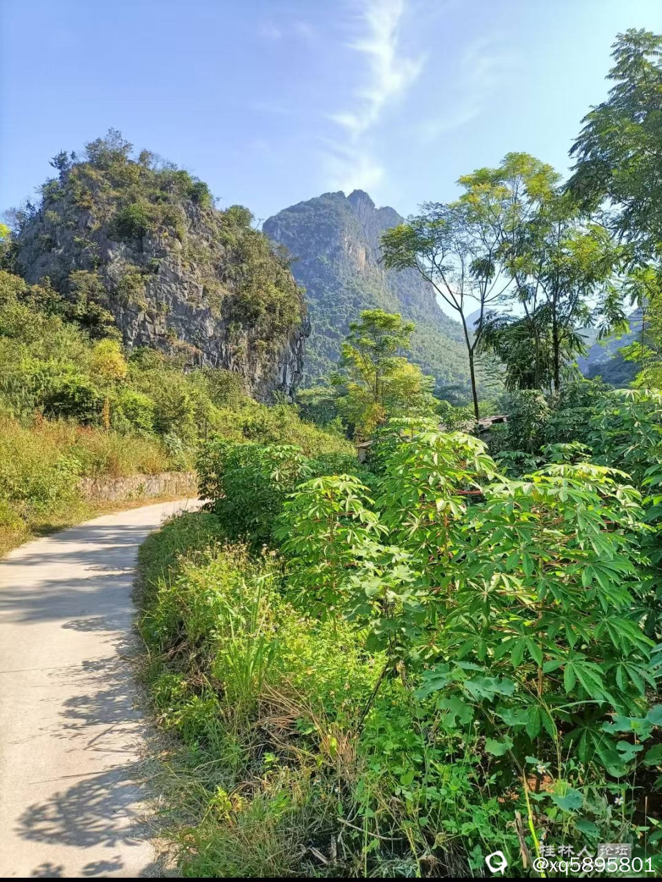水泥路