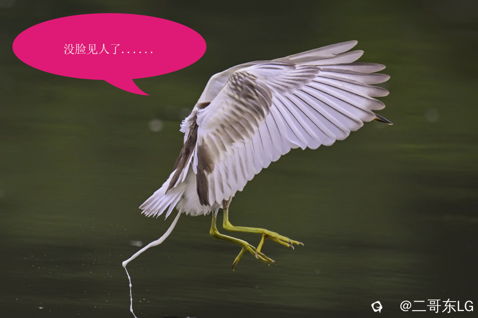 唉呀妈呀快闪开急急急 (3).jpg