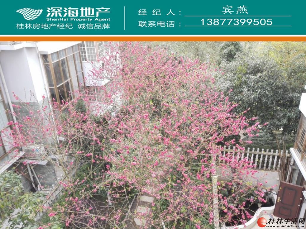 Y��԰�����嶫԰3¥Ծ��4��2��136ƽ��116��