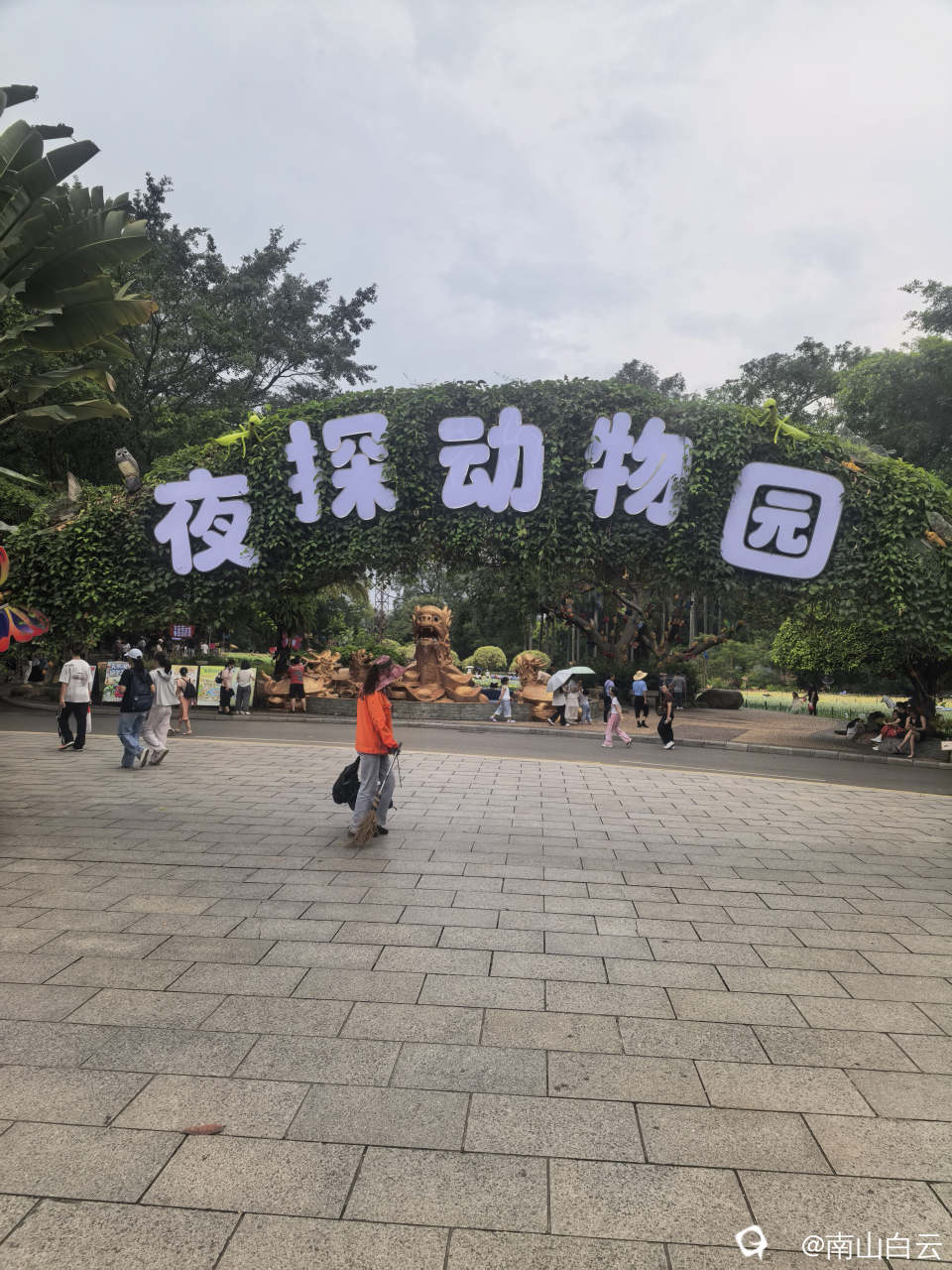 f6211a60-adff-abee-4a39-71b91319933c.jpg