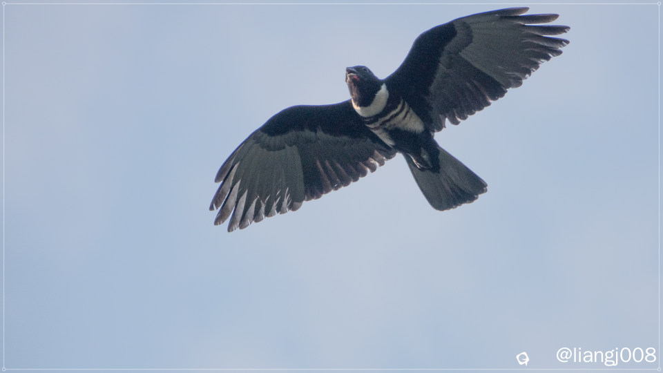 DSC08196_副本.jpg