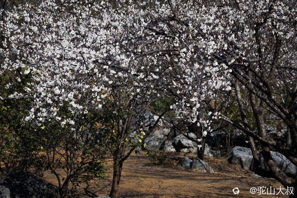 DSC04656-0 - 副本.jpg