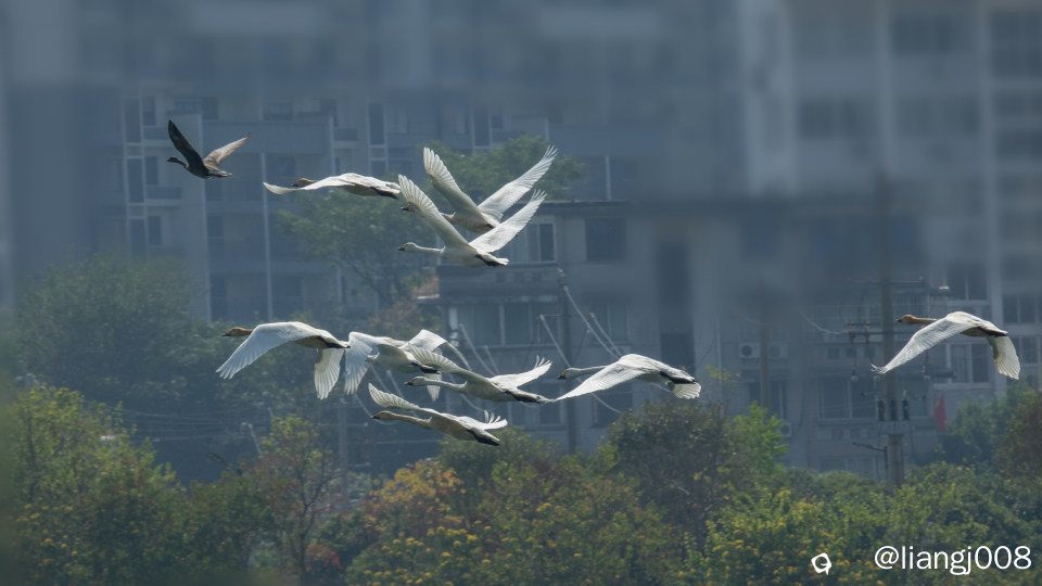 DSC01509_副本.jpg