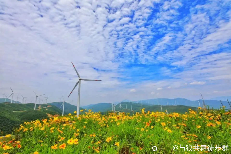 截图202405222342195653.png