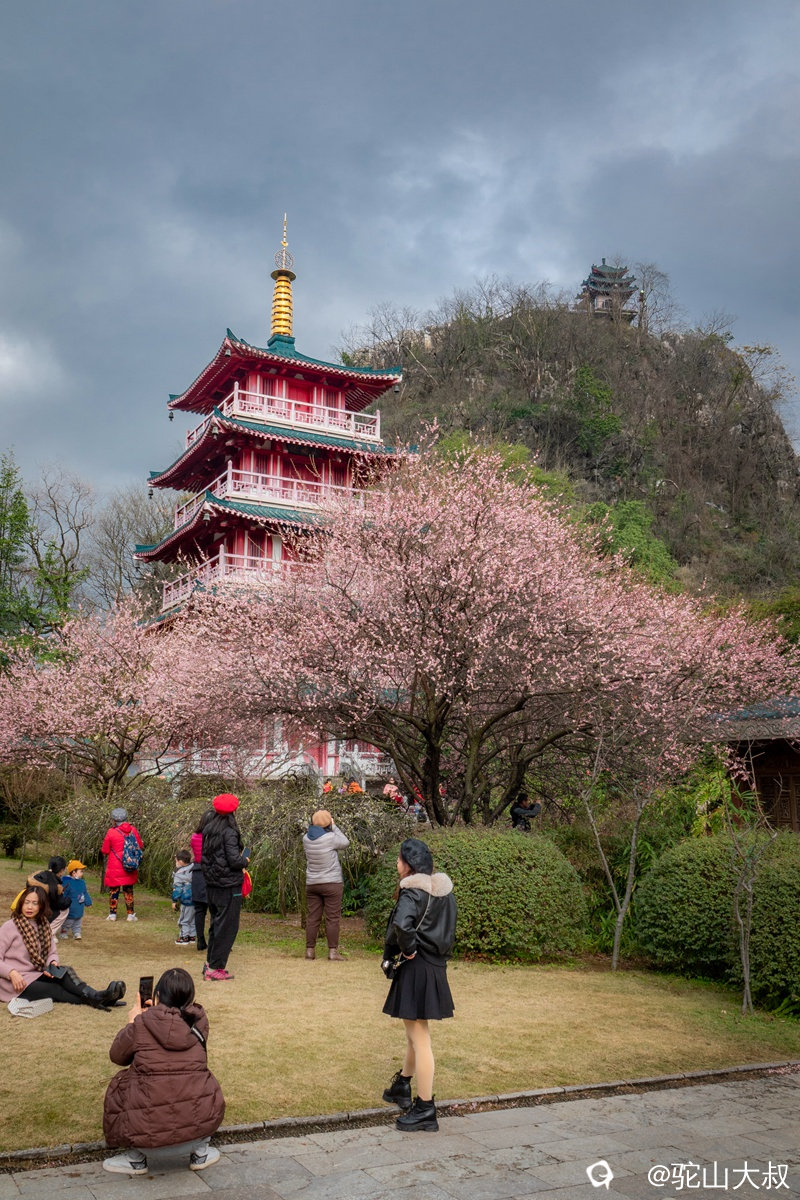 DSC05537-06_副本.jpg