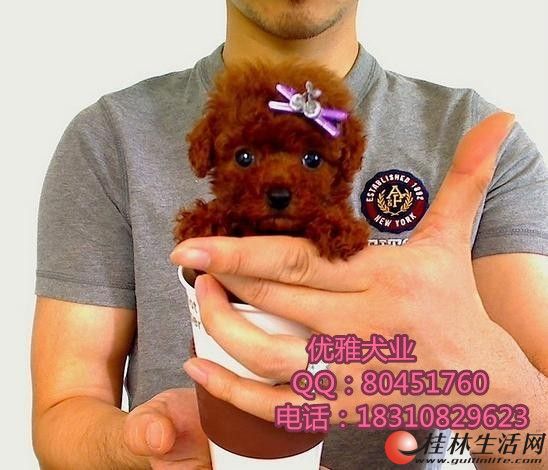̩��Ȯ����Ǯ̩��Ȯ�۸�̩��ȮͼƬ