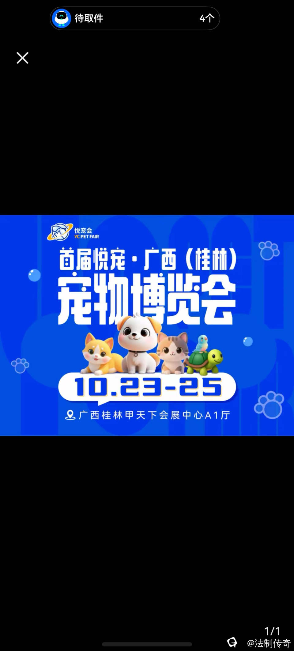 f02100aa-7b91-1e87-03f9-d1944da7a846.jpg