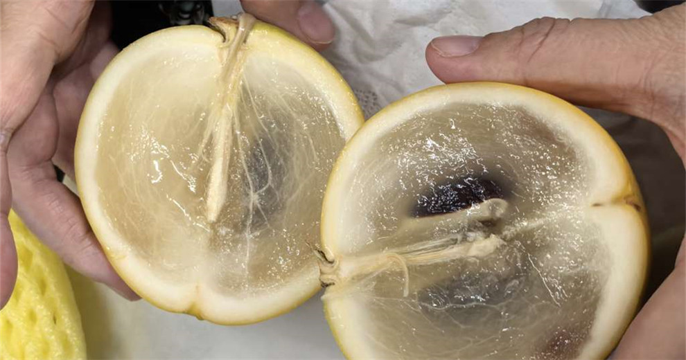 【老歪歪】亲测水果中的燕窝，它是谁？