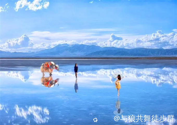 截图202405182359362451.png