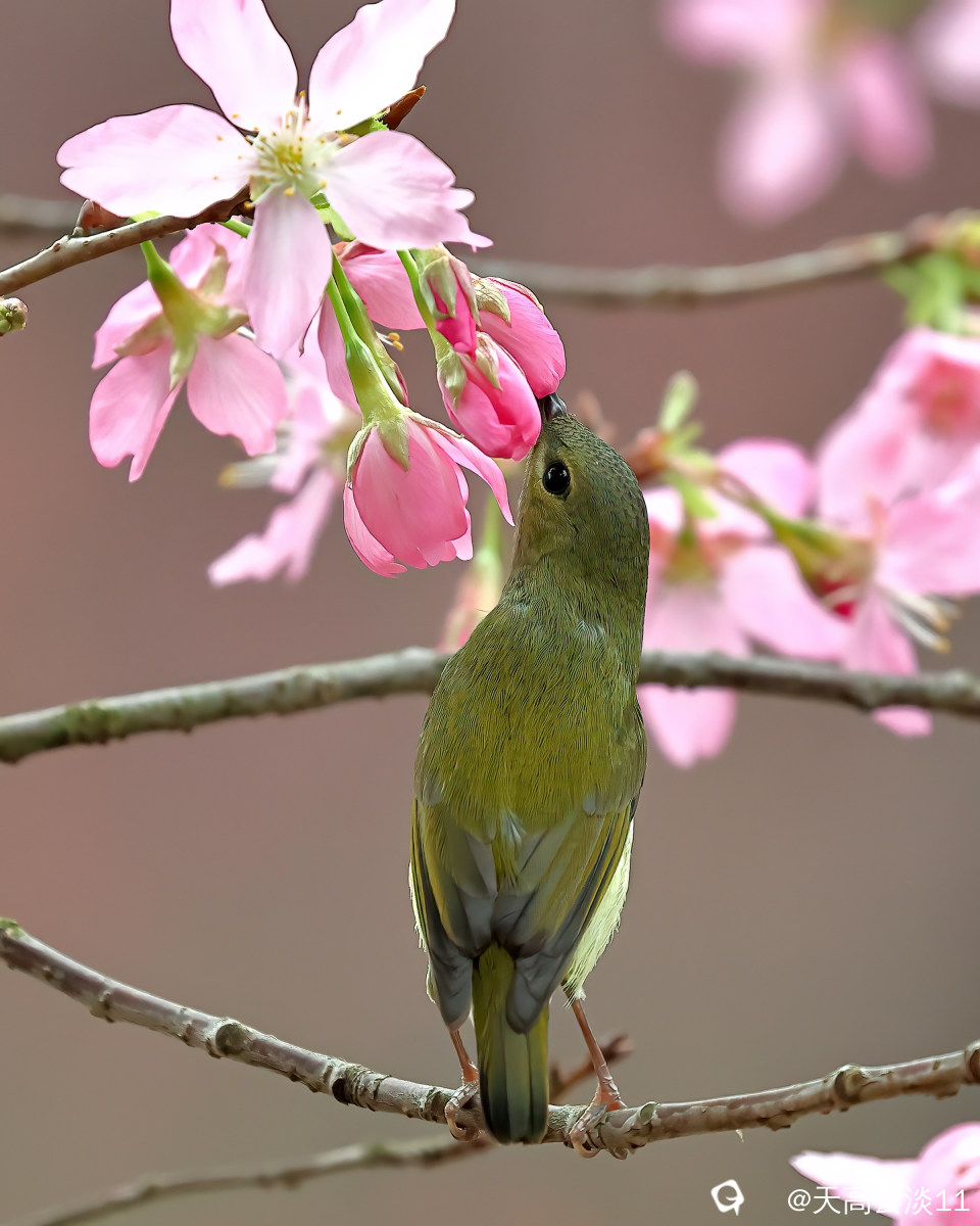 5D2A0513_副本-DeNoiseAI-clear.jpg
