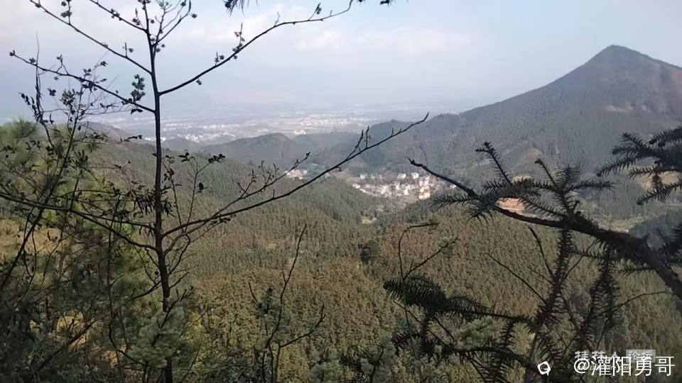 微信图片_20260224165849_482_377.jpg