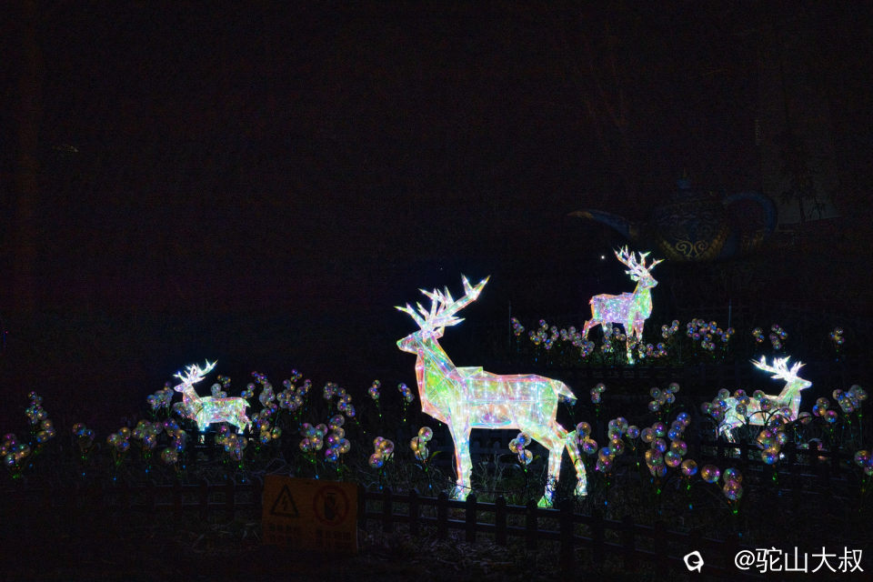 DSC04921-0 - 副本.jpg